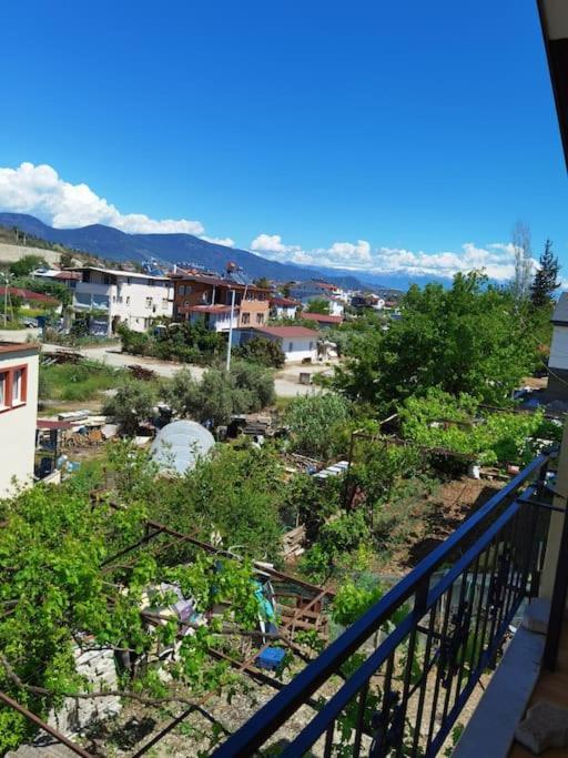 Apartment Sunshine With Terrace
