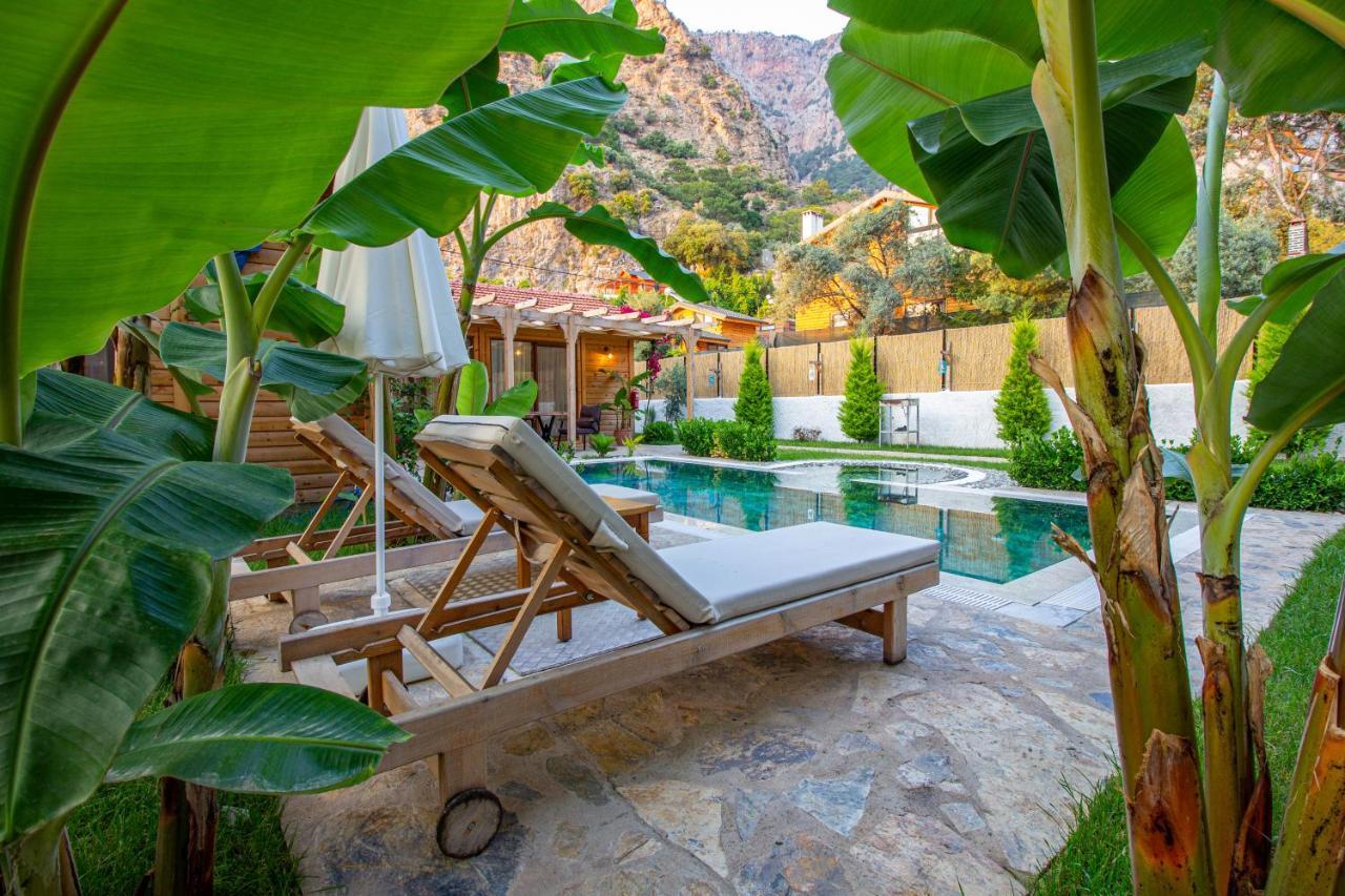 Pineyard Villas Villa Fethiye