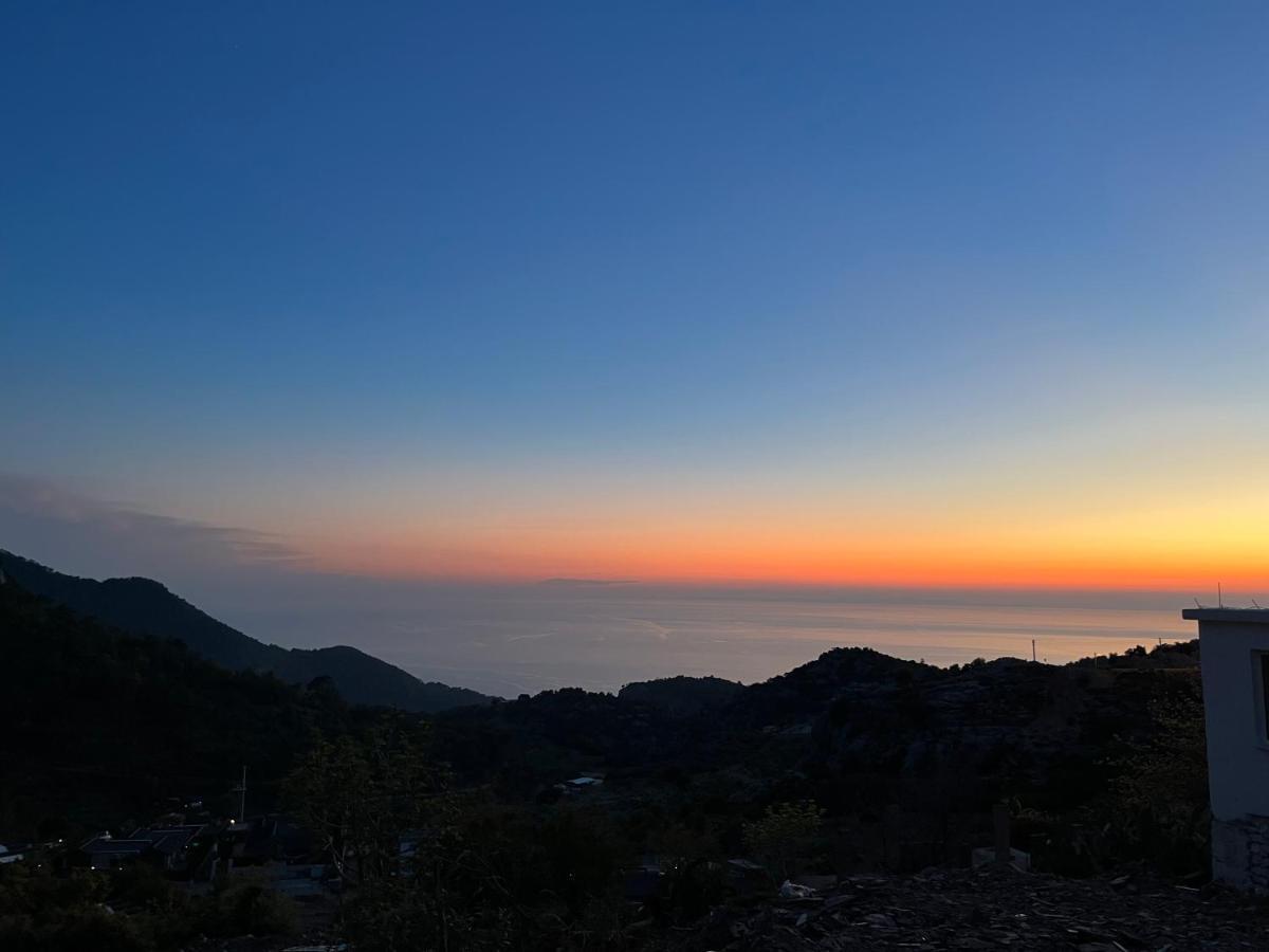 Butterfly Fethiye