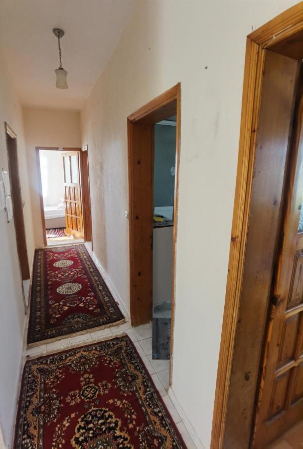 Adventurous Local Hostel