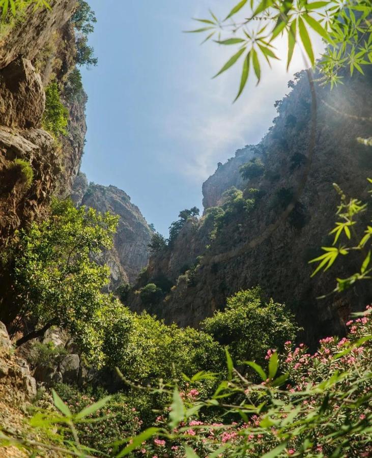 Butterfly Valley Glamping Luxury tent Fethiye