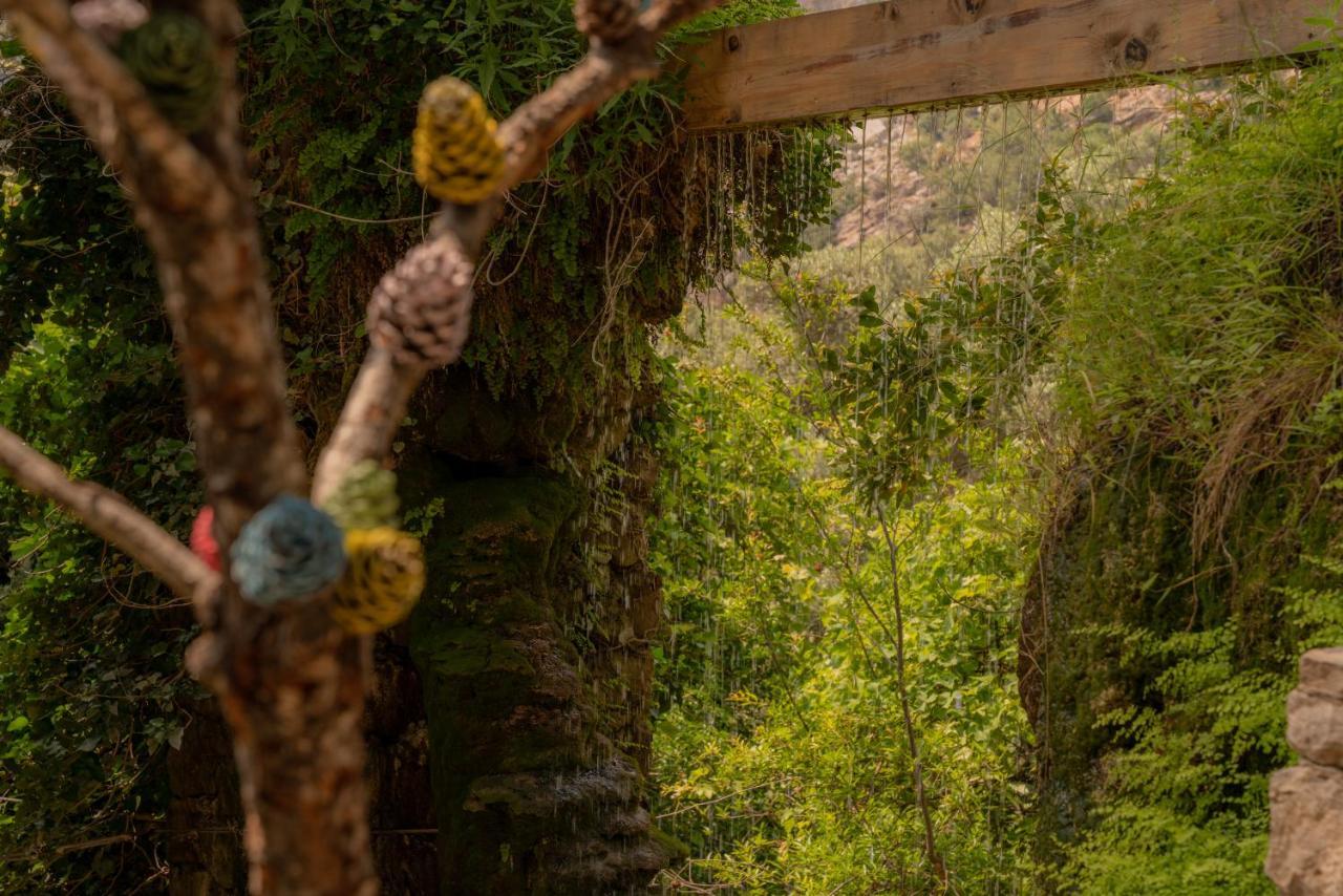Watermill & Faralya *
