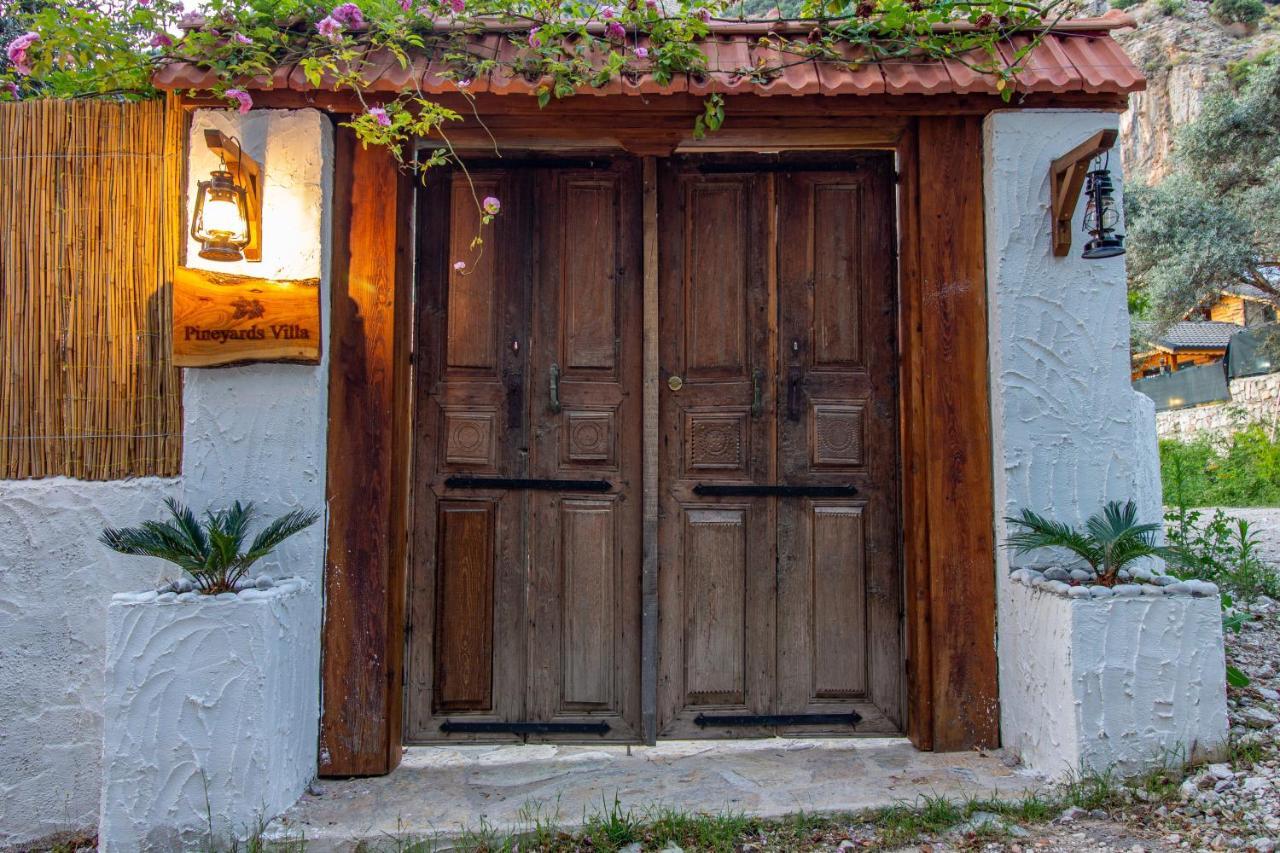 Pineyard Villas Villa