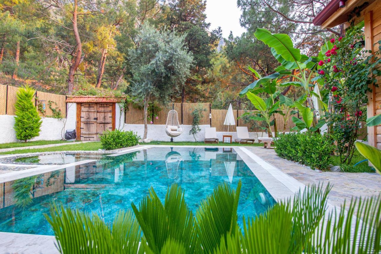Villa Pineyard Villas Fethiye