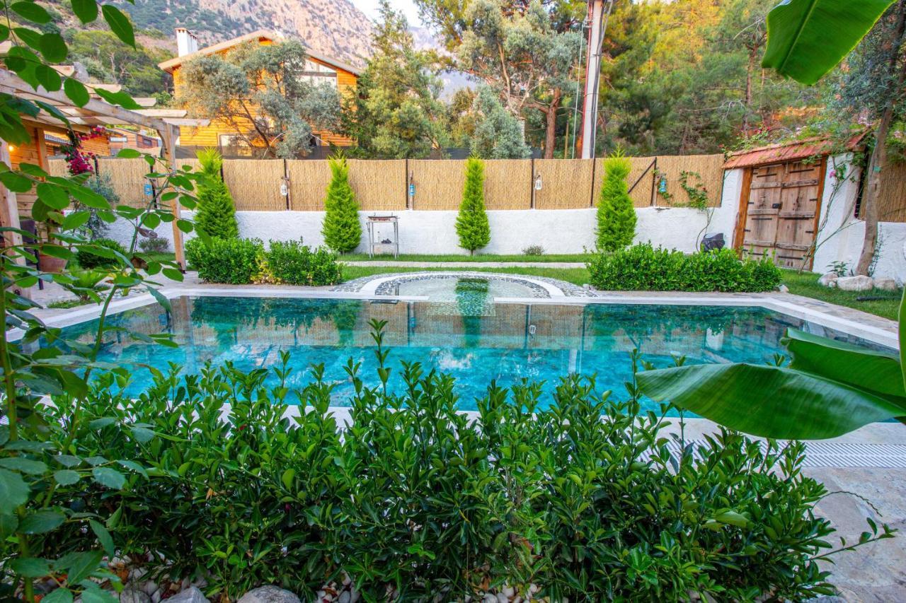Villa Pineyard Villas