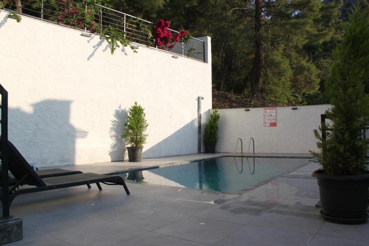 Citrus Villa