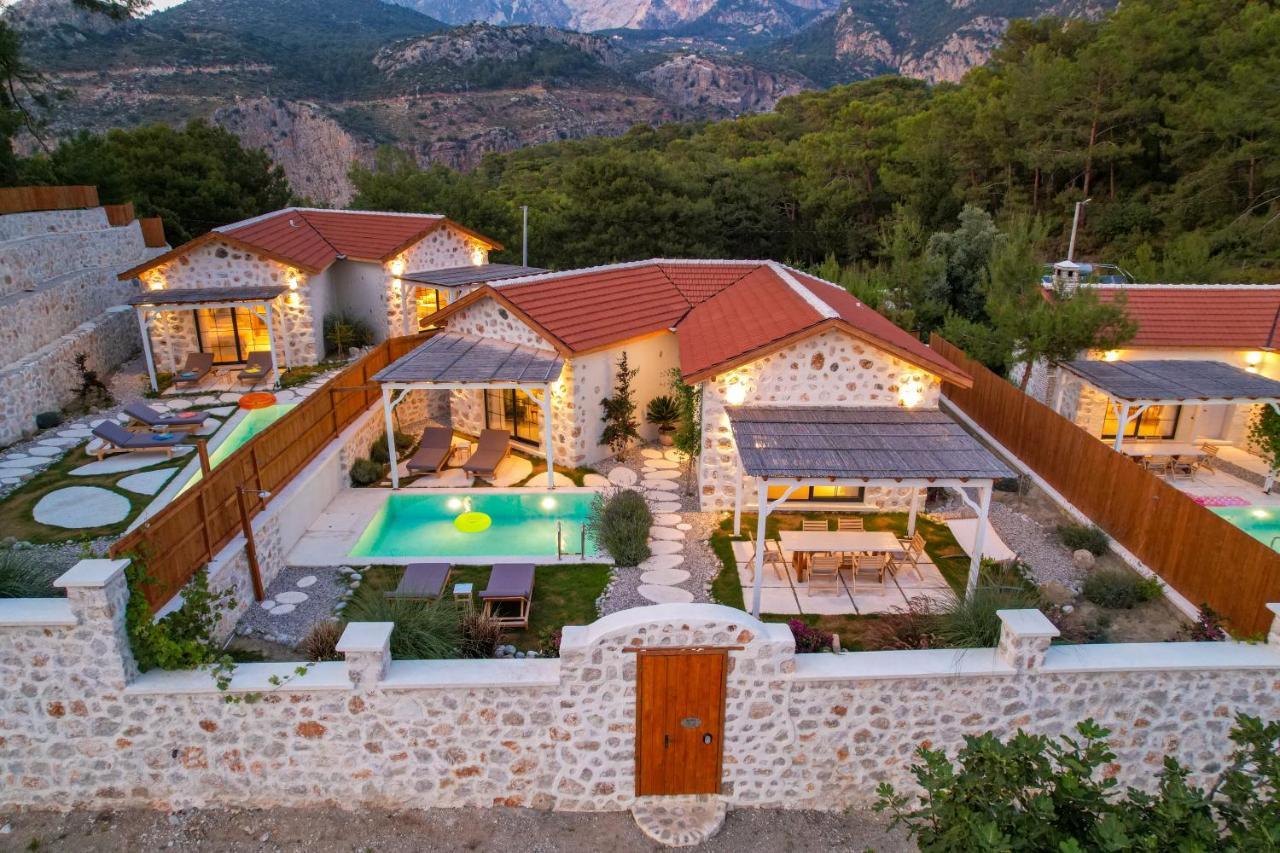 Villa Sojoy Art *