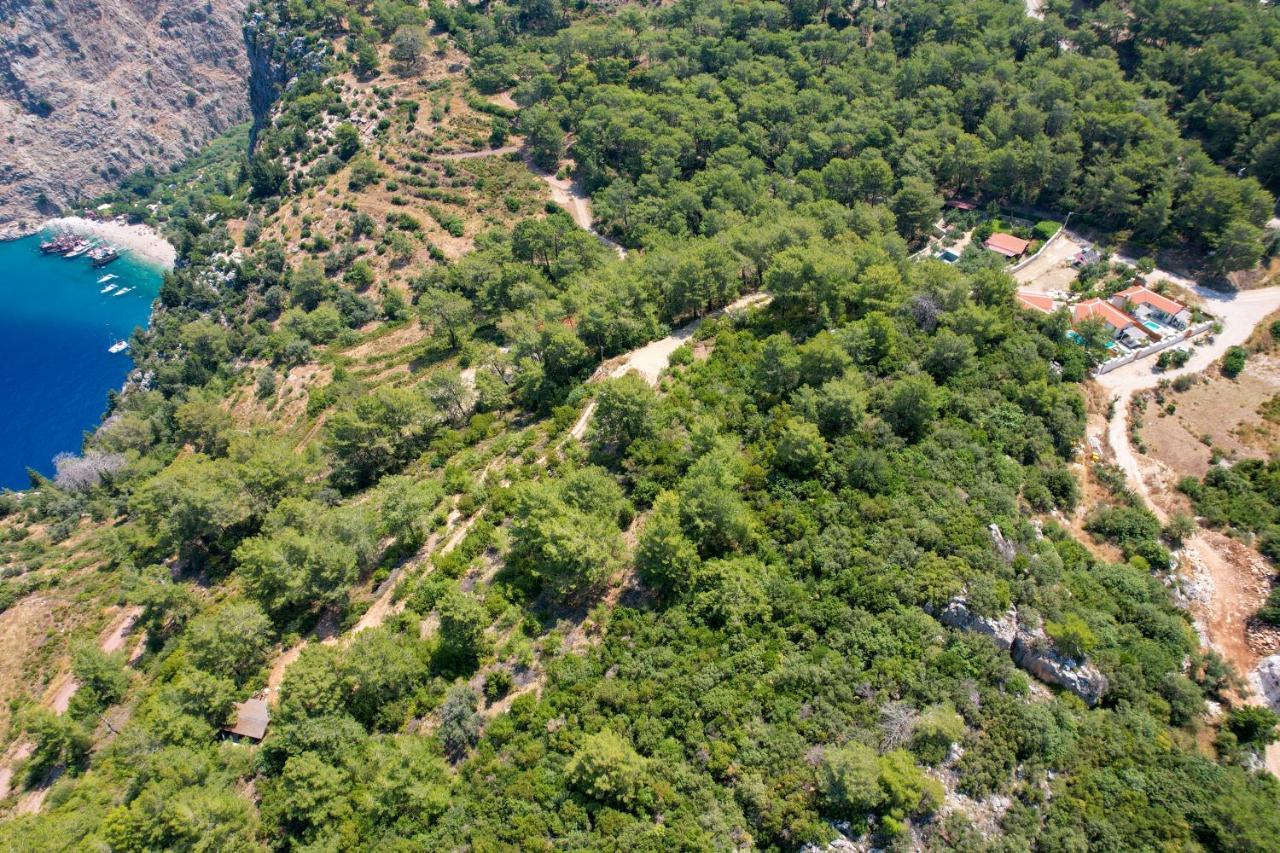 Sojoy Art * Fethiye