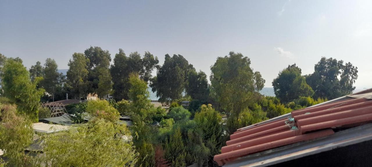 Aryam * Fethiye
