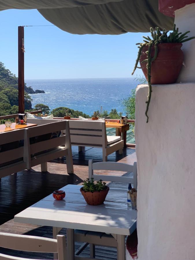 Bamboo With Sea View In Kabak Bay, Oeluedeniz *