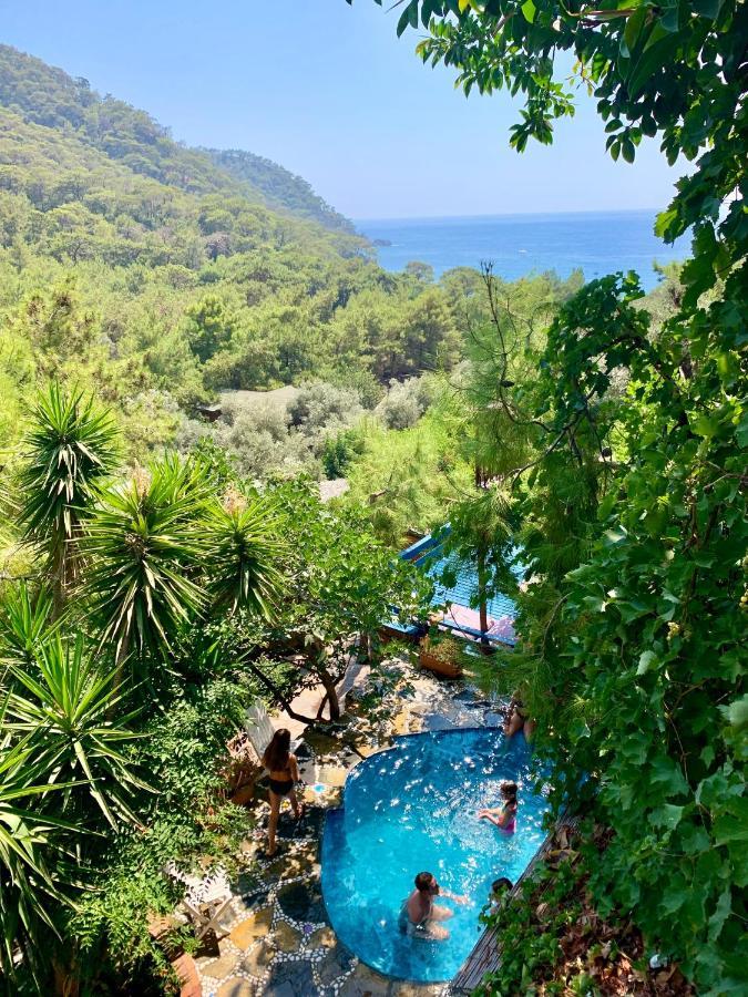 Bamboo With Sea View In Kabak Bay, Oeluedeniz
