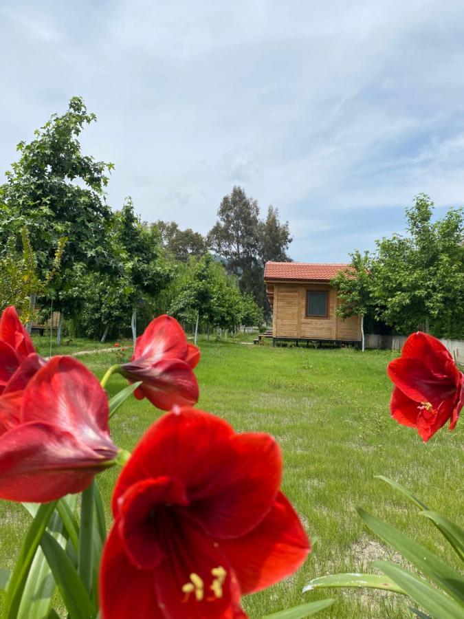 Inlice Uenzile Inlice Kamp Bed & Breakfast *