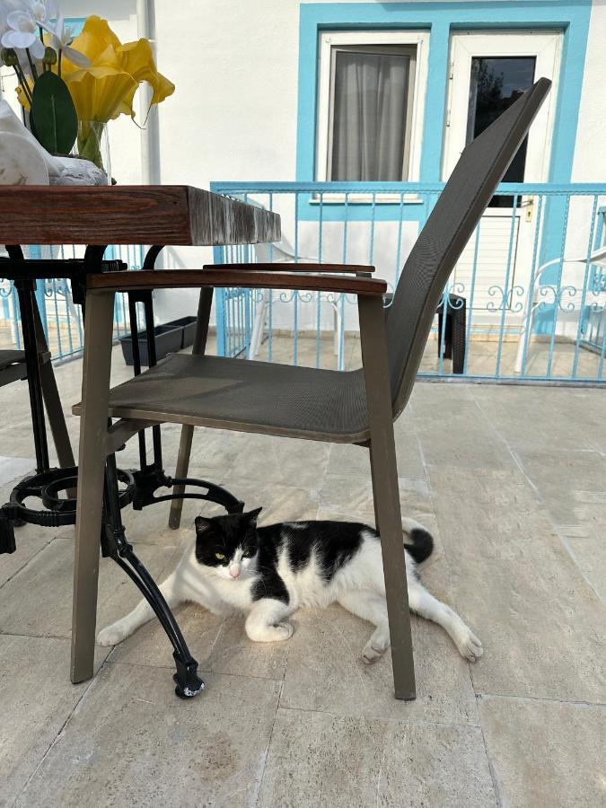 Enjoy Hotel * Fethiye