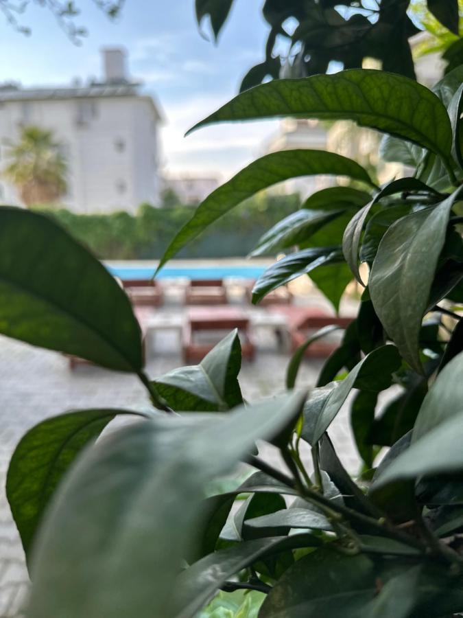 Bed & Breakfast Enjoy Hotel *