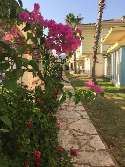 C&a * Fethiye