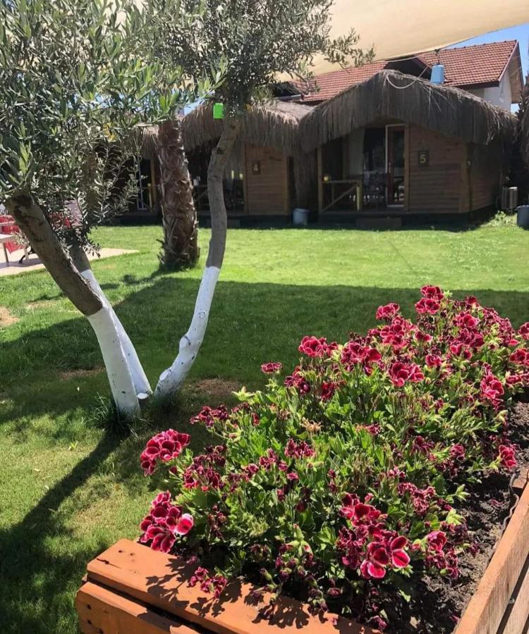 Aparthotel Ela Apart & Bungalow Fethiye