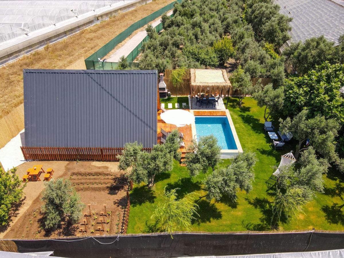 Assevilla Villa