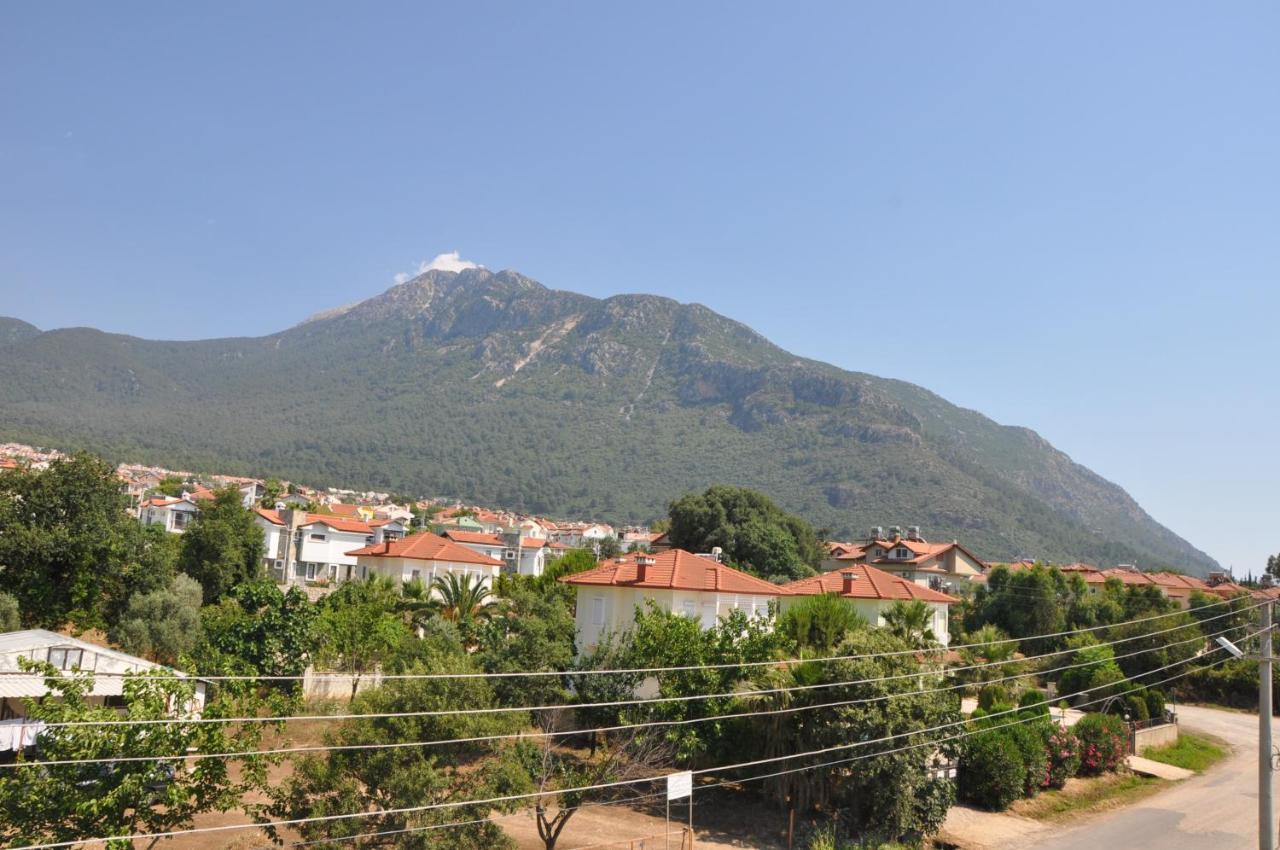 Villa Mountain View *