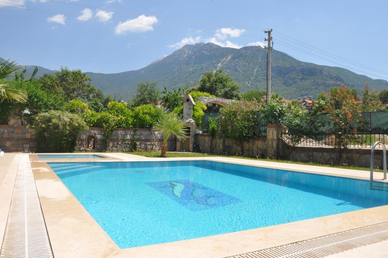 Mountain View *