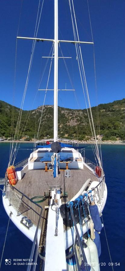 Seaborn Legend Fethiye