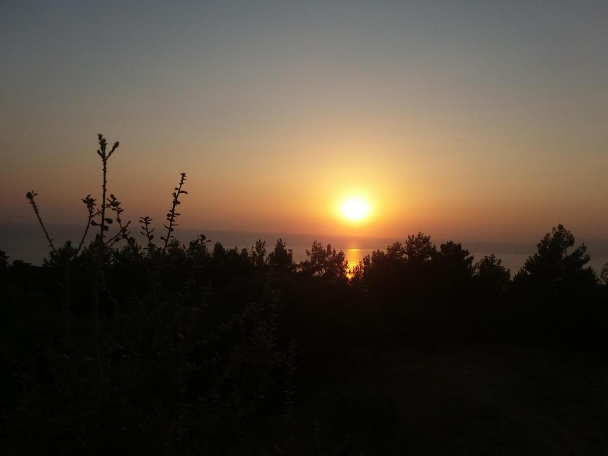 Esila Sea And Nature Wiev Chalet *
