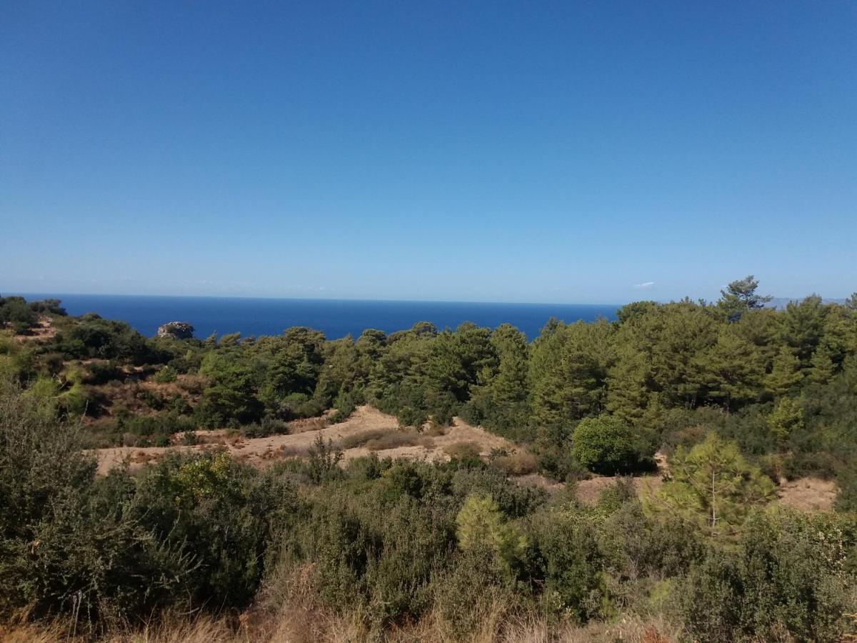 Esila Sea And Nature Wiev *