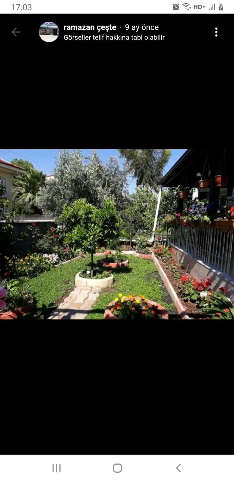 Villa Ces
