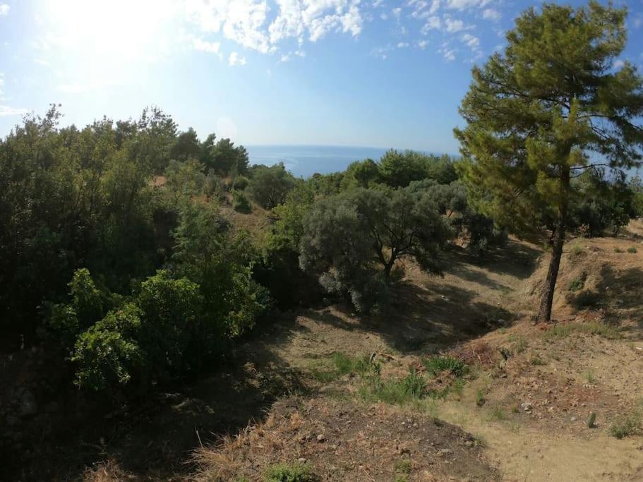 Vanya Sea And Nature View Villa Fethiye