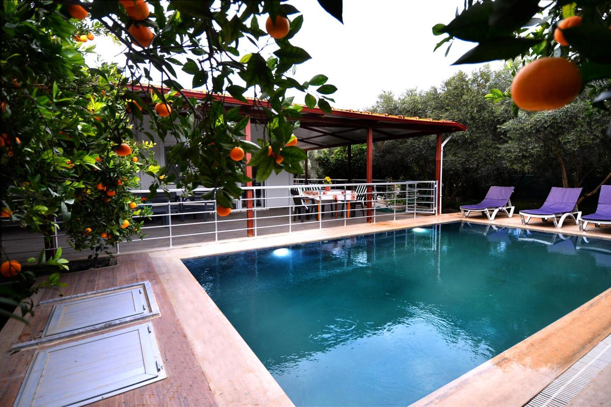 Avci Villa-fethiye 3+1 In Garden With Private Pool, 10 Minutes To The Beach