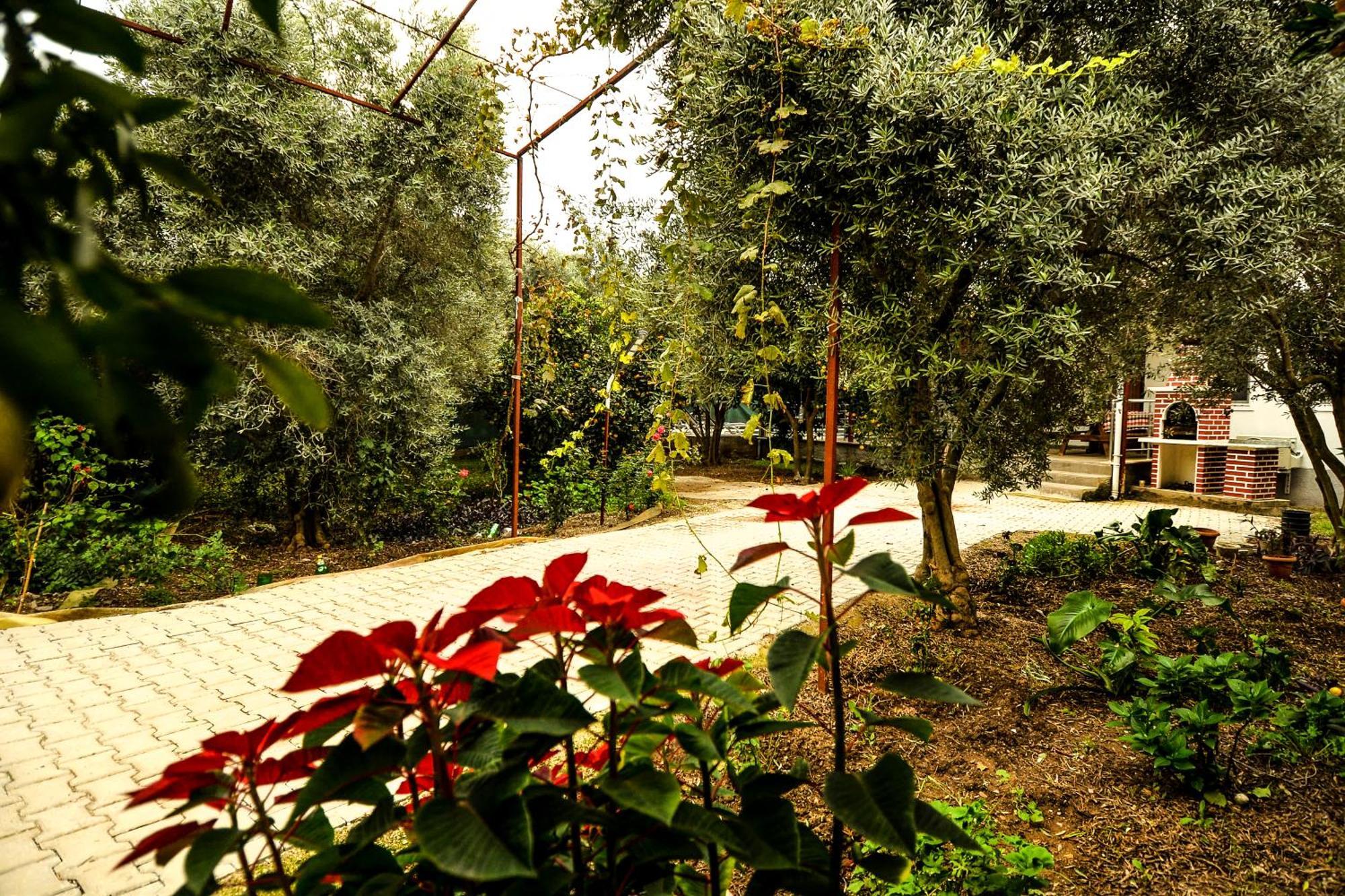 Avci Villa-fethiye 3+1 In Garden With Private Pool, 10 Minutes To The Beach Villa Fethiye