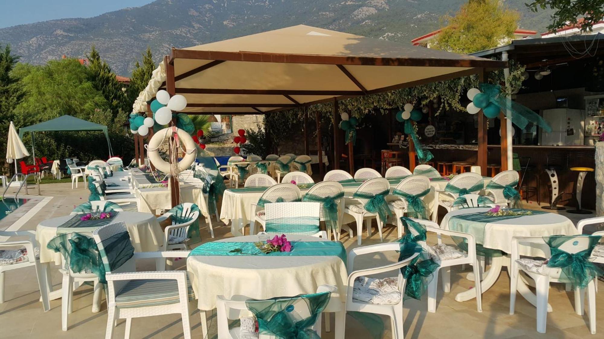Dolphin Fethiye