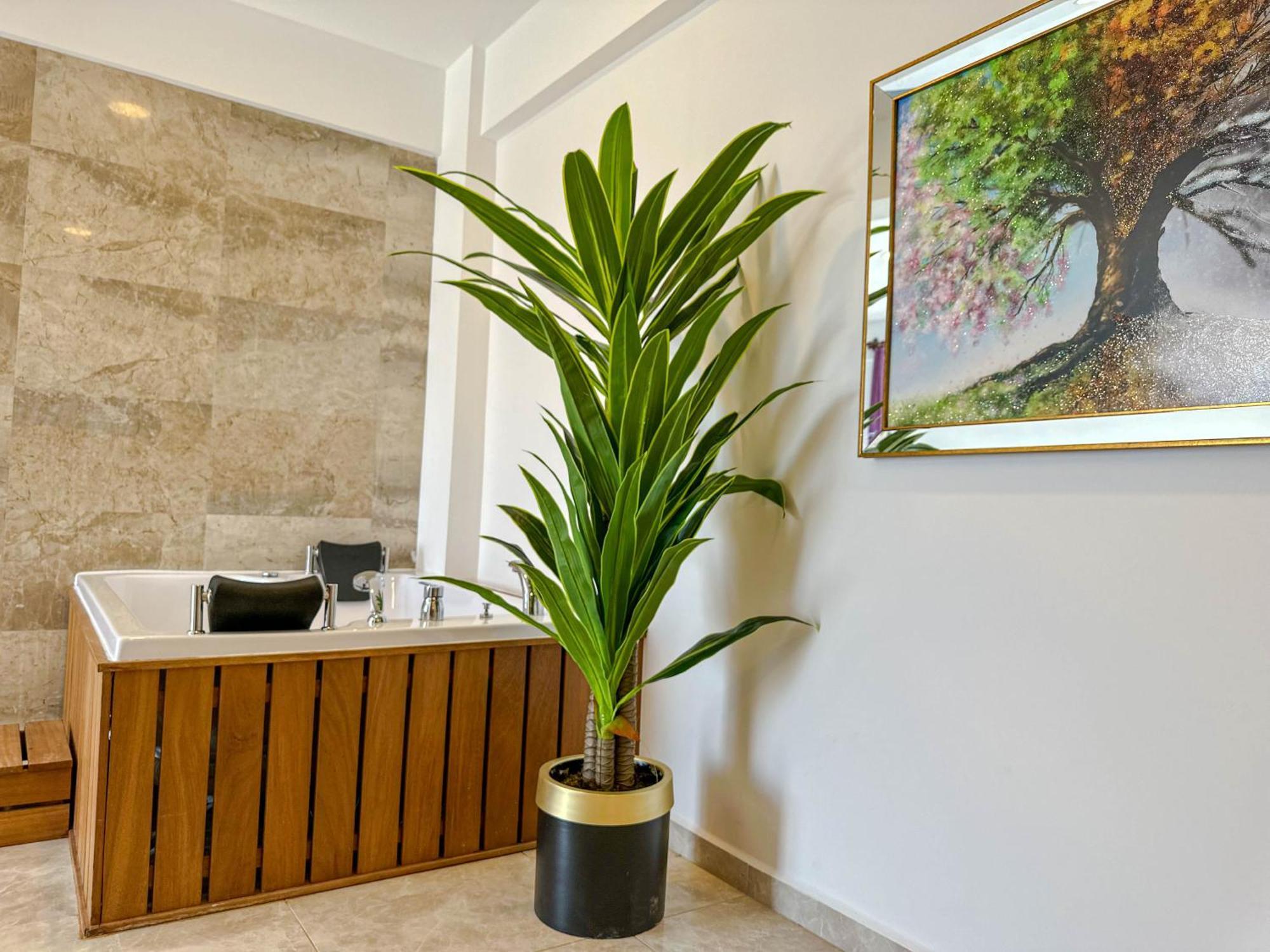 Star Villa, Oezel Havuzlu,