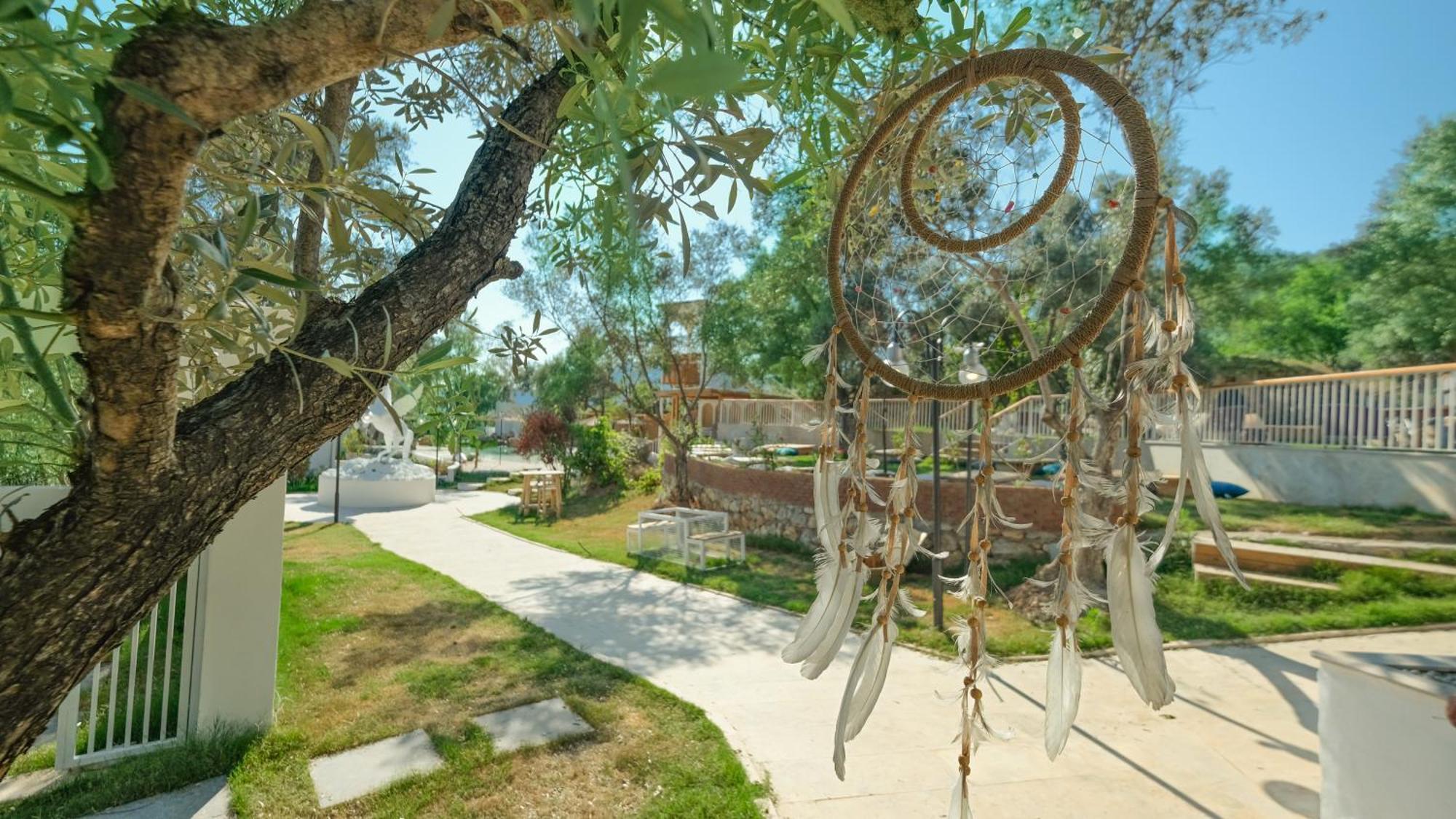 Zai Jardin *