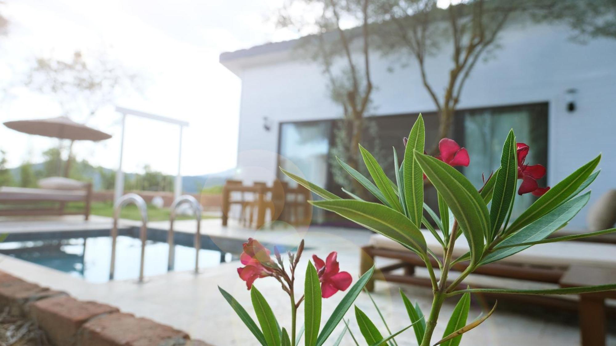 Zai Jardin Tatil Evi Fethiye