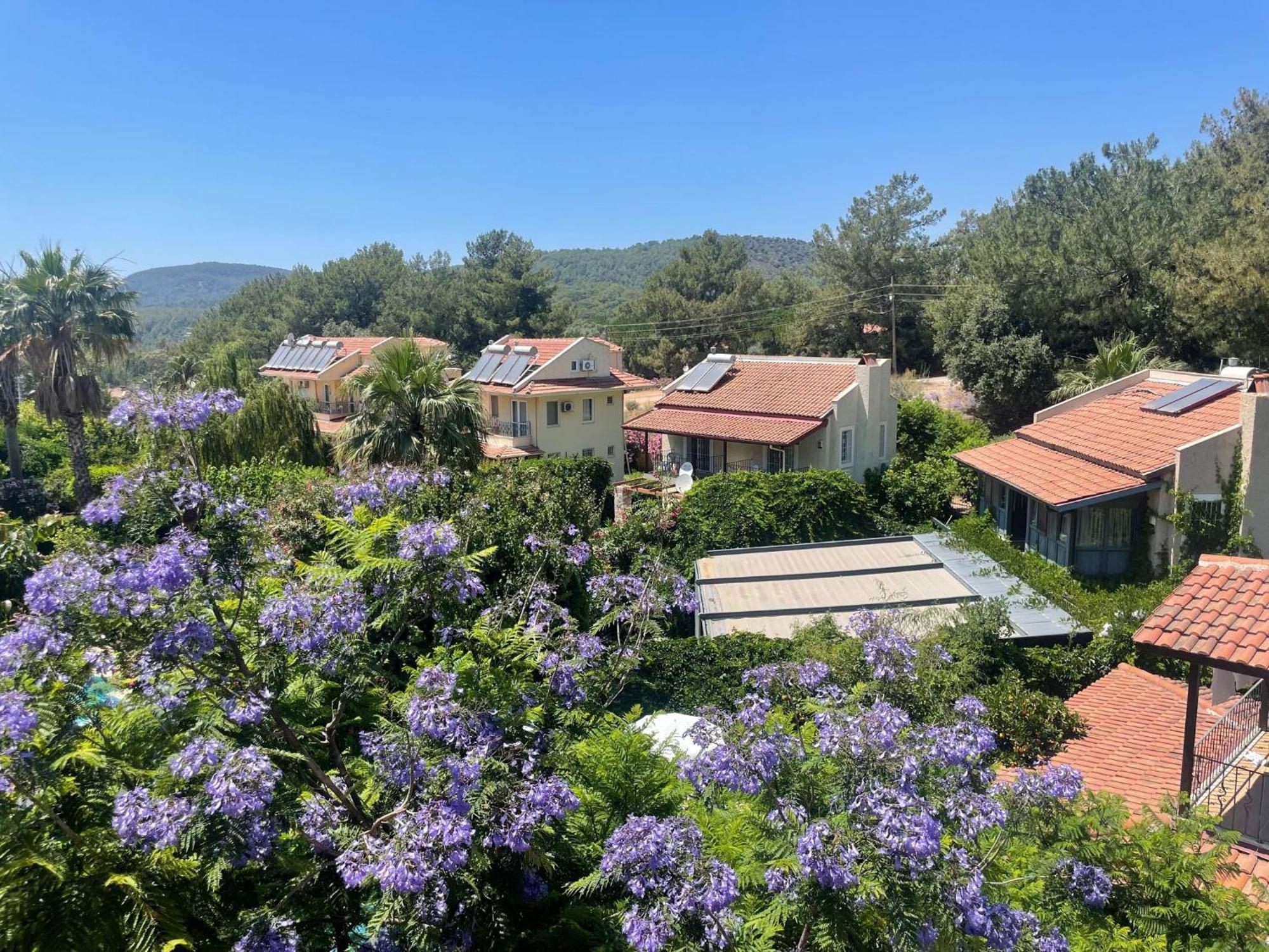 Mozaik - Oludeniz,fethiye