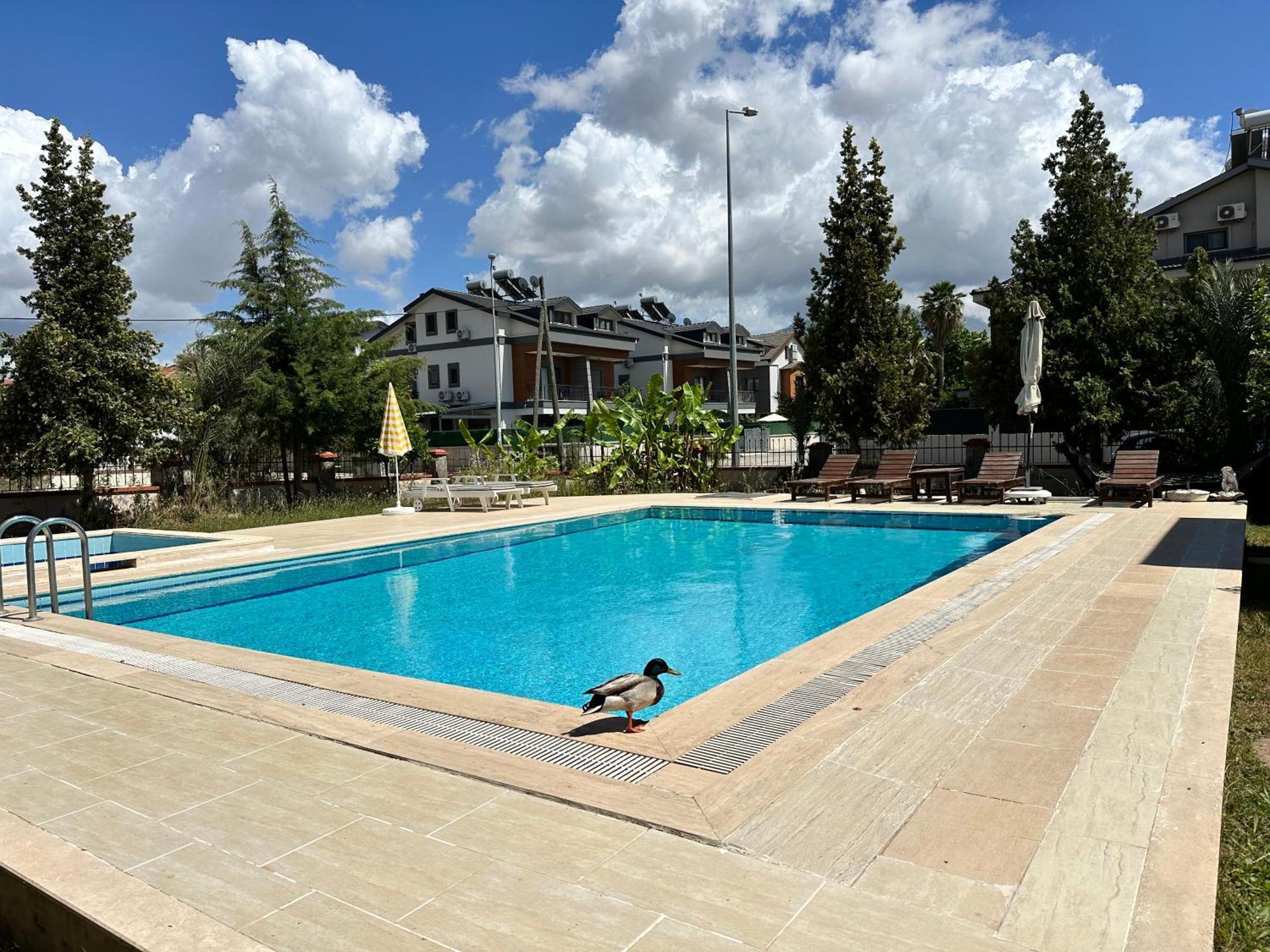 Apartment Suit Fiona Fethiye