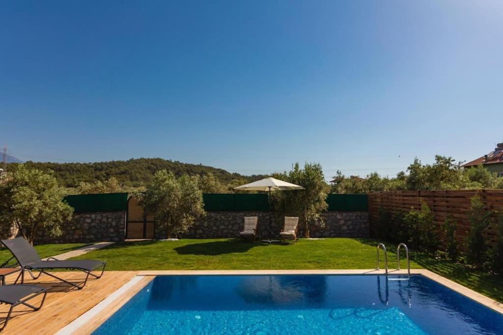 Villa Zeytin Havuzlu Jakuzili *
