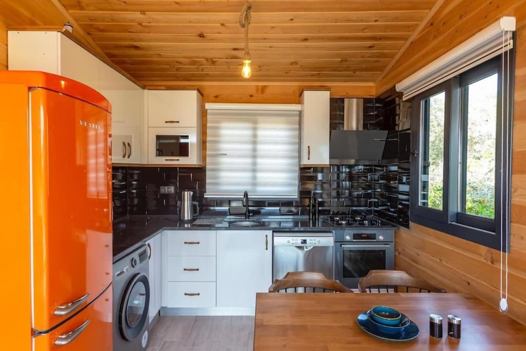 Zeytin Havuzlu Jakuzili Villa Fethiye