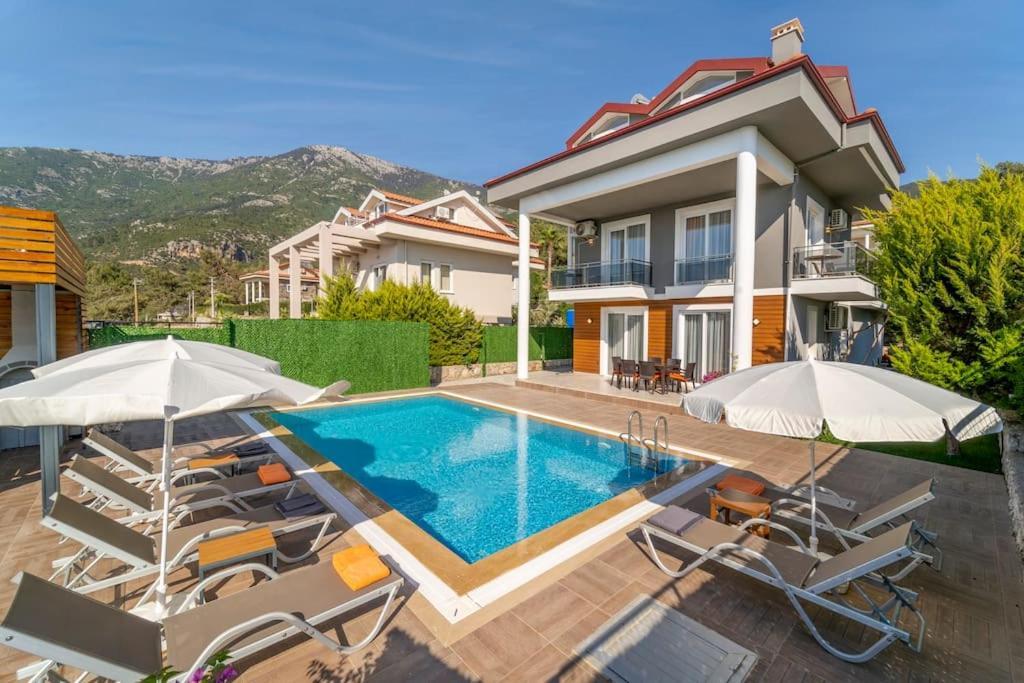 Kamelya * Fethiye