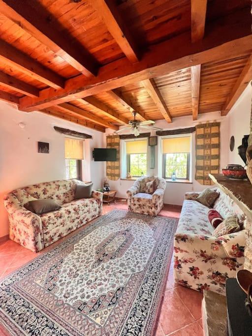 Villa Benzersiz Jakuzili