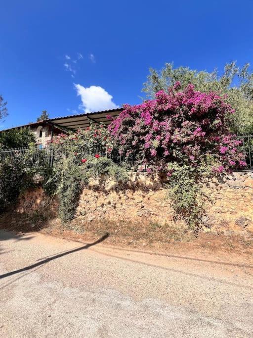 Villa Benzersiz Jakuzili Fethiye