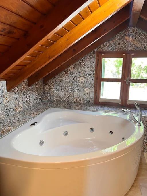 Benzersiz Jakuzili Villa *