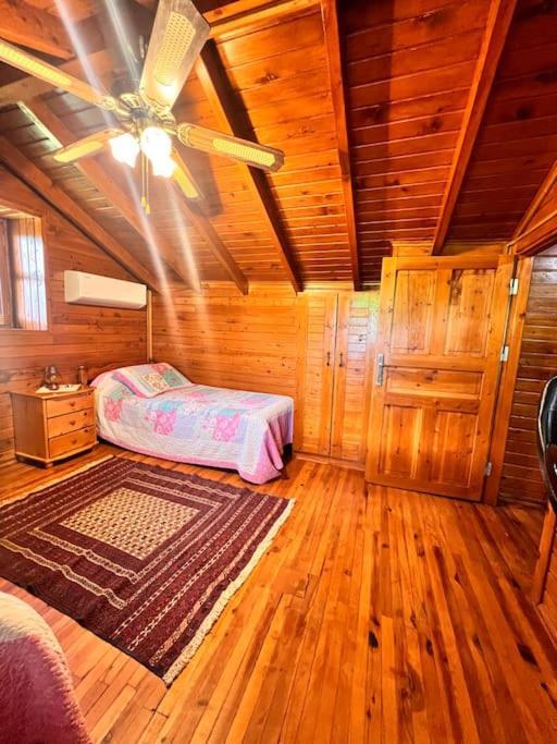Benzersiz Jakuzili Villa *