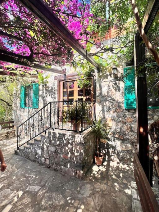 Benzersiz Jakuzili Villa Fethiye