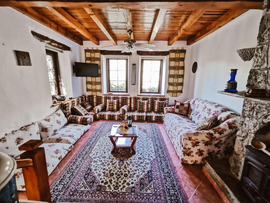 Benzersiz Jakuzili Villa