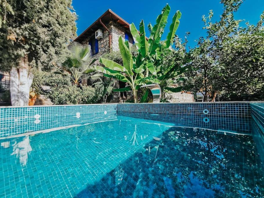 Villa Benzersiz Jakuzili