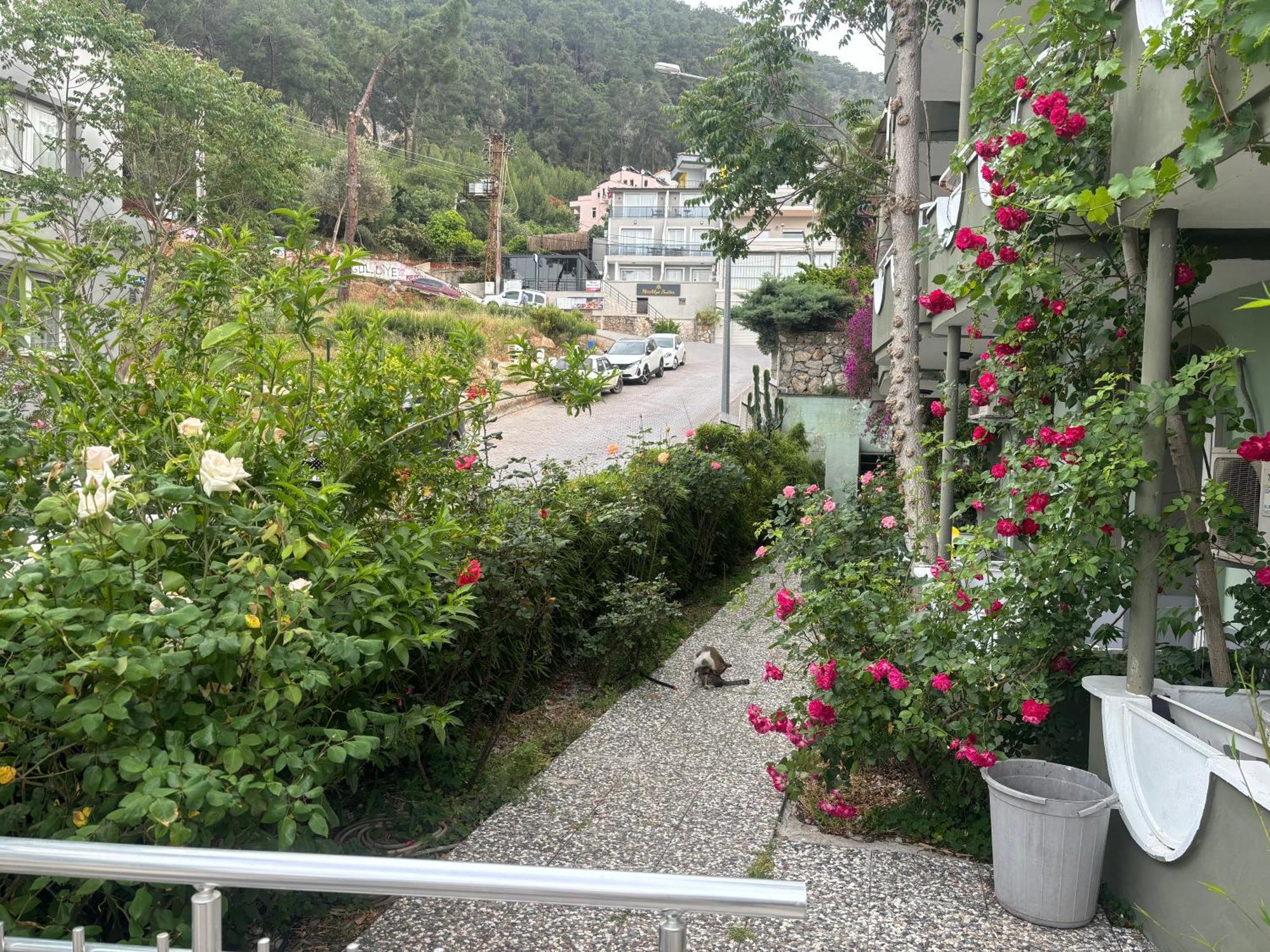Konukevi Ideal Fethiye