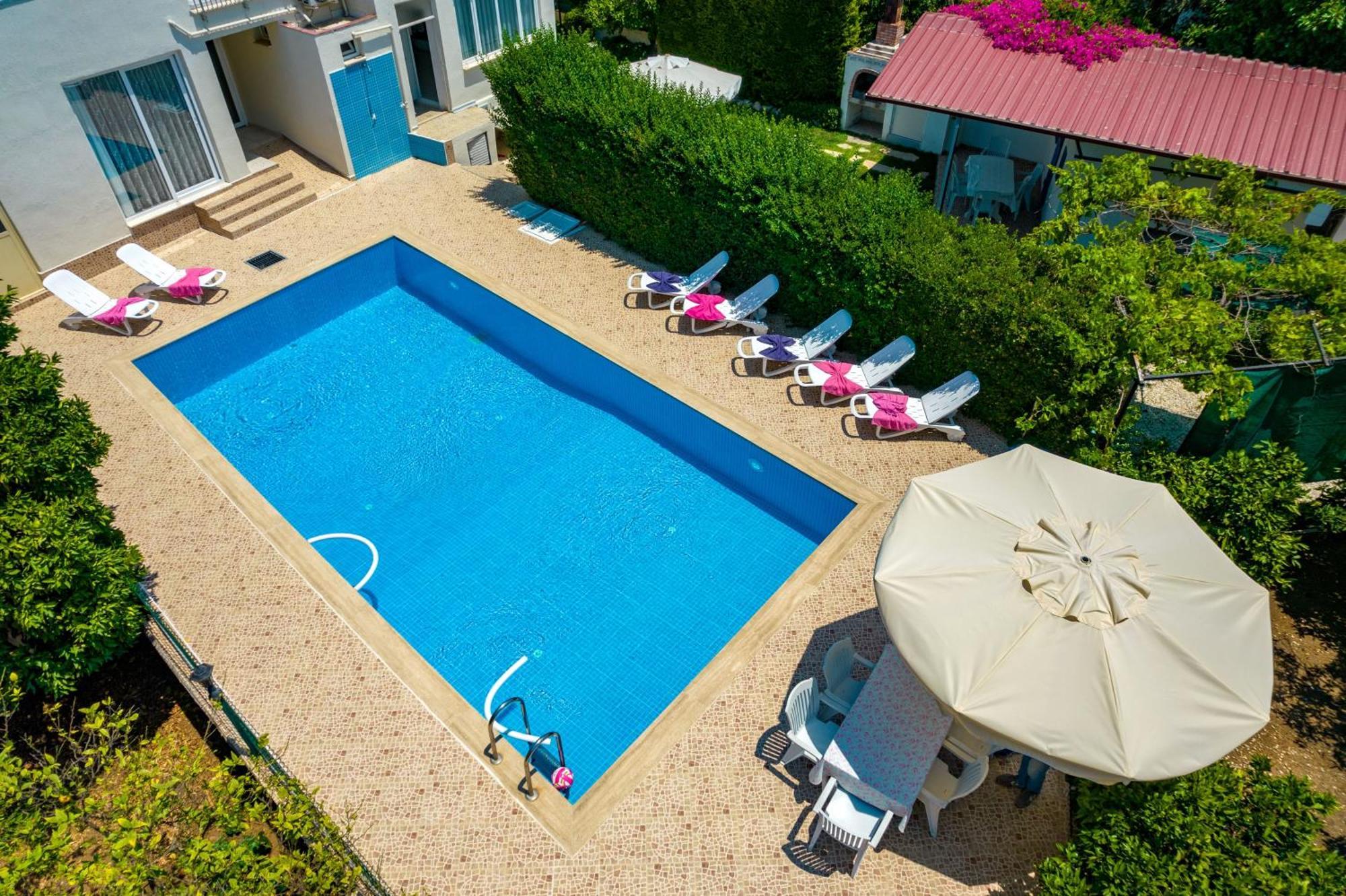 Kavak Garden