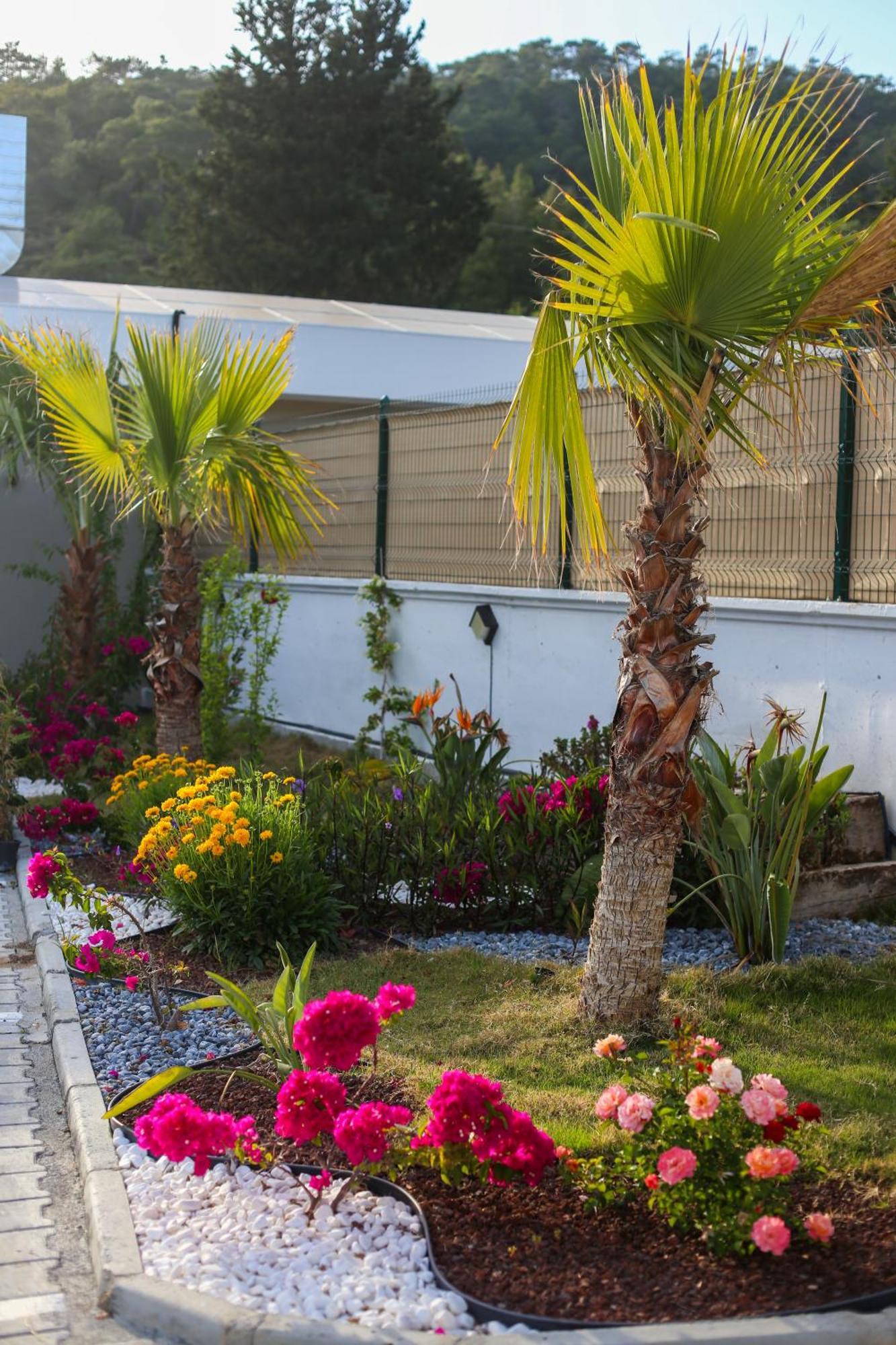 Talia Villalari Villa Fethiye