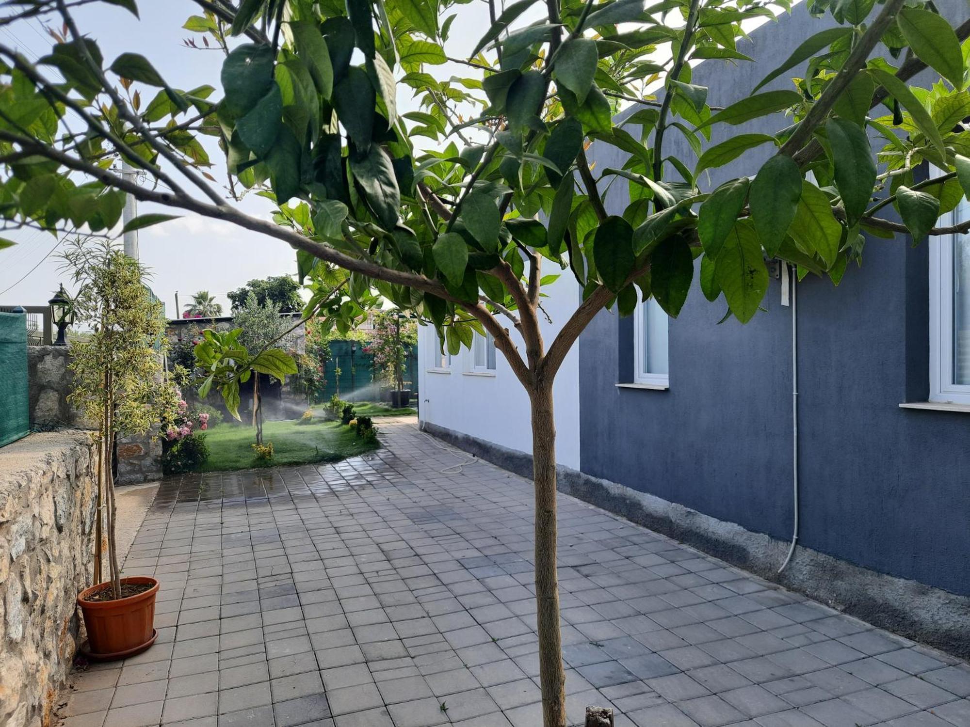 Villa Tiele Fethiye